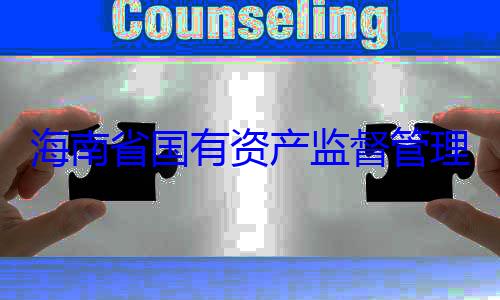 委副书记王资产监督管有福接受审查调查理委员会党海南省国有